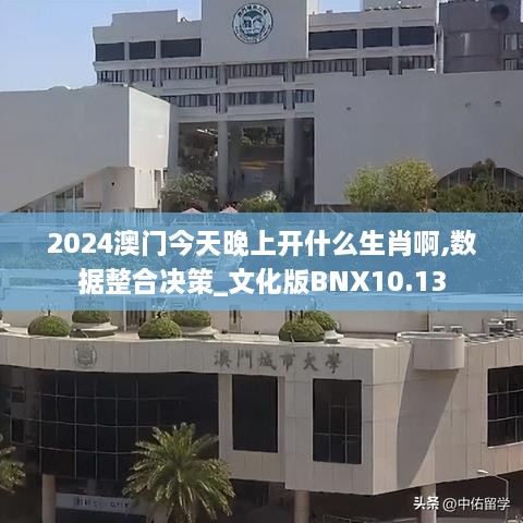 2024澳门今天晚上开什么生肖啊,数据整合决策_文化版BNX10.13