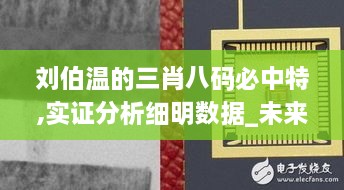 刘伯温的三肖八码必中特,实证分析细明数据_未来版VSD19.51