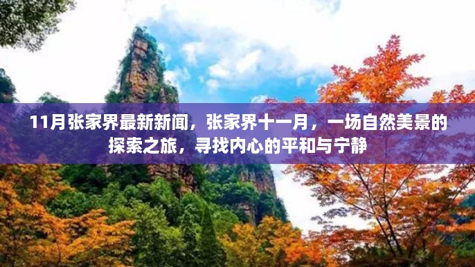 11月张家界最新新闻，张家界十一月，一场自然美景的探索之旅，寻找内心的平和与宁静