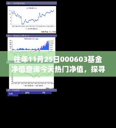 探寻基金净值背后的价值波动，以000603基金为例，解析其最新净值及热门趋势分析