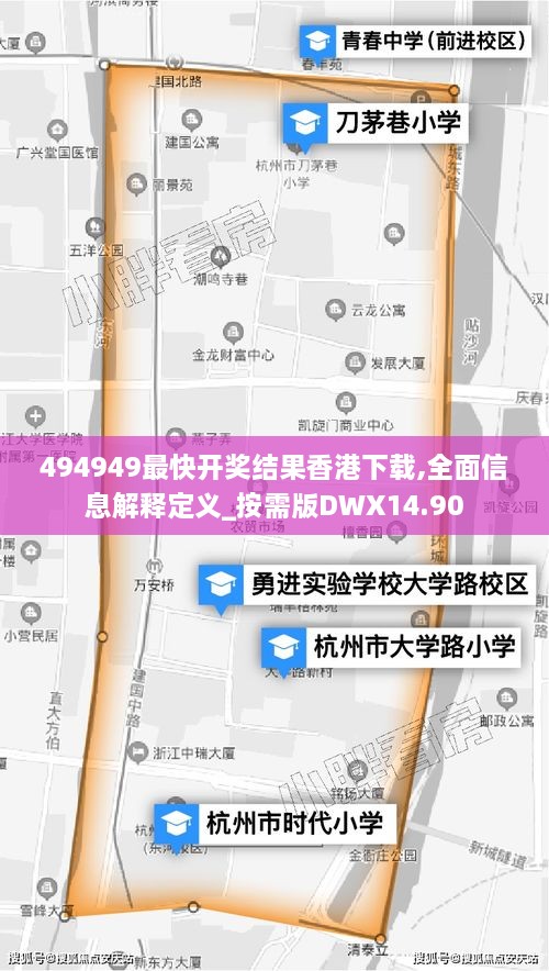 494949最快开奖结果香港下载,全面信息解释定义_按需版DWX14.90