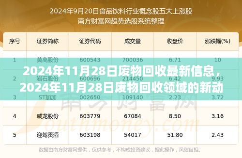 2024年11月28日废物回收领域最新动态与洞察