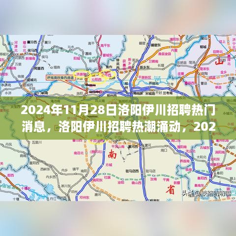 2024年11月28日洛阳伊川招聘热潮涌动，行业聚焦与影响