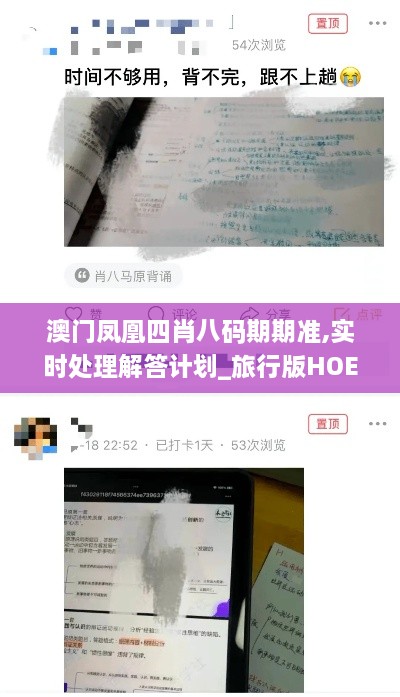 澳门凤凰四肖八码期期准,实时处理解答计划_旅行版HOE18.57