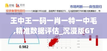 王中王一码一肖一特一中毛,精准数据评估_沉浸版GTO4.10