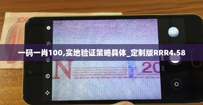 一码一肖100,实地验证策略具体_定制版RRR4.58