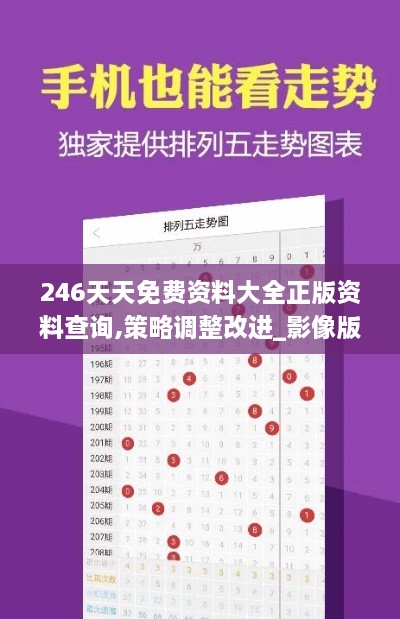 246天天免费资料大全正版资料查询,策略调整改进_影像版CAI18.41