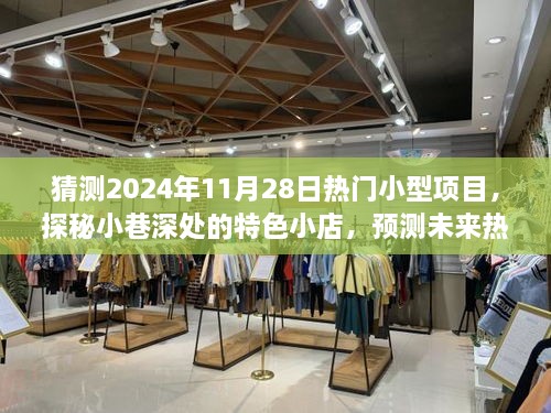 探秘小巷特色小店，预测未来热门小型项目的风向标（2024年11月28日热门小型项目猜想）