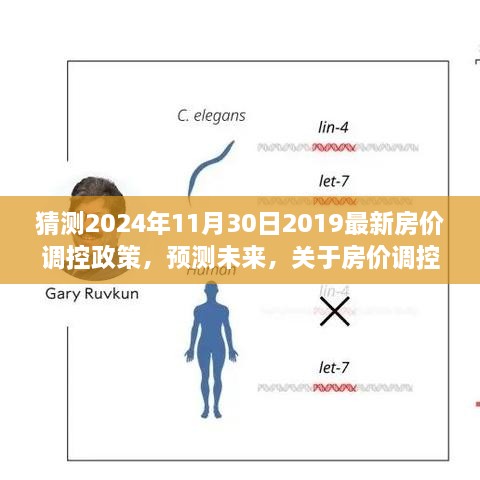 橘虞初梦 第6页