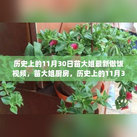 苗大姐厨房，历史上的11月30日烹饪时光回顾最新视频