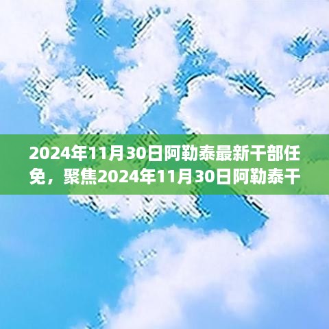 聚焦时刻，2024年11月30日阿勒泰干部任免深度分析与个人观点