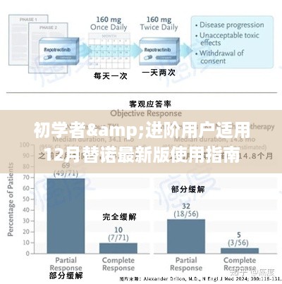 替诺最新版使用指南，适合初学者与进阶用户的学习指南（12月版）