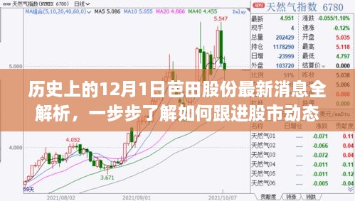 芭田股份最新动态解析，深入了解股市动态与跟进策略