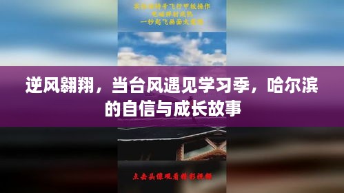 哈尔滨逆风翱翔，台风遇见学习季，自信成长故事