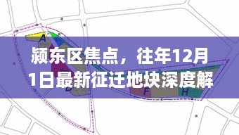 颍东区焦点，最新征迁地块深度解析（往年12月1日）