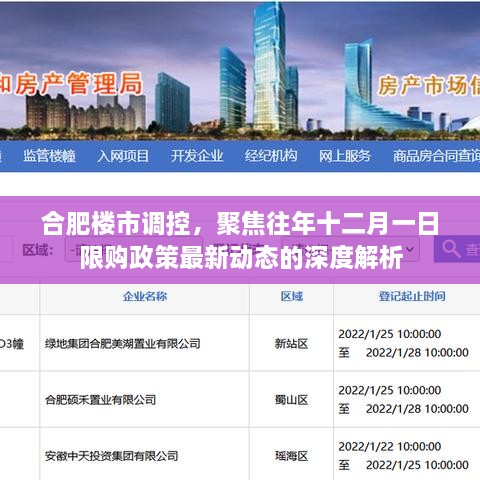 合肥楼市调控深度解析，十二月一日限购政策最新动态聚焦