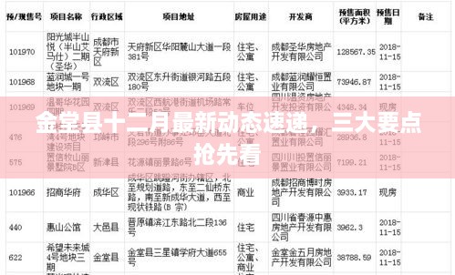 金堂县十二月最新动态速递，三大要点一览无余