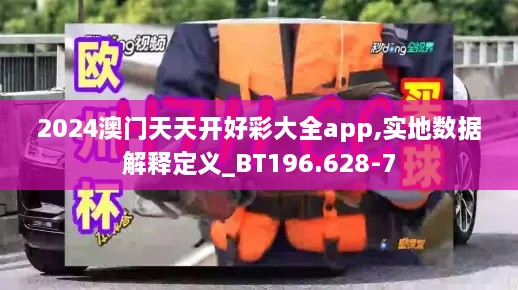 2024澳门天天开好彩大全app,实地数据解释定义_BT196.628-7