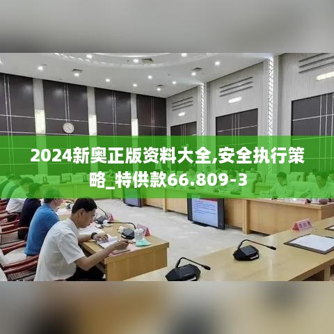 2024新奥正版资料大全,安全执行策略_特供款66.809-3