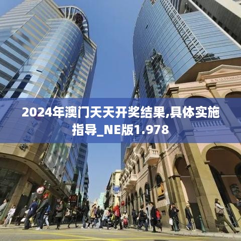 2024年澳门天天开奖结果,具体实施指导_NE版1.978