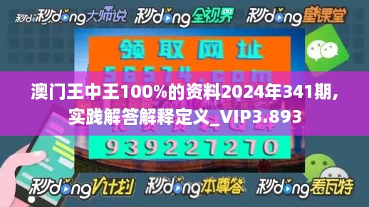 澳门王中王100%的资料2024年341期,实践解答解释定义_VIP3.893