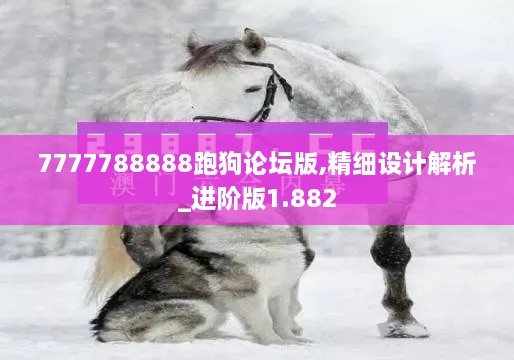 7777788888跑狗论坛版,精细设计解析_进阶版1.882