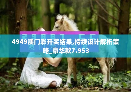 4949澳门彩开奖结果,持续设计解析策略_豪华款7.953