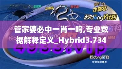 管家婆必中一肖一鸣,专业数据解释定义_Hybrid3.734