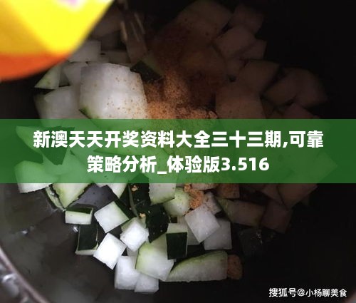 新澳天天开奖资料大全三十三期,可靠策略分析_体验版3.516