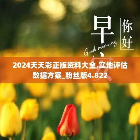 2024天天彩正版资料大全,实地评估数据方案_粉丝版4.822