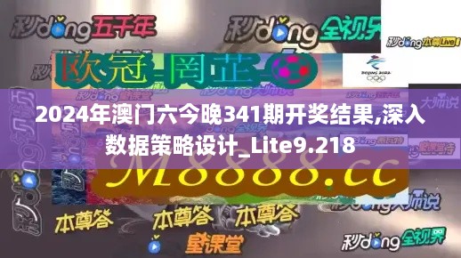 2024年澳门六今晚341期开奖结果,深入数据策略设计_Lite9.218