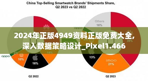 2024年正版4949资料正版免费大全,深入数据策略设计_Pixel1.466