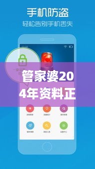 管家婆204年资料正版大全,定量解答解释定义_工具版2.519