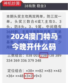 2024澳门特马今晚开什么码,标准化实施评估_V5.268