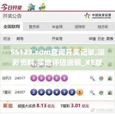 55123.cσm查询开奖记录,澳彩资料,实地评估说明_XE版1.184