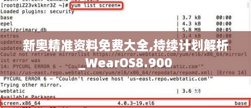 新奥精准资料免费大全,持续计划解析_WearOS8.900