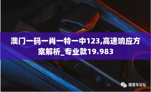 澳门一码一肖一特一中123,高速响应方案解析_专业款19.983