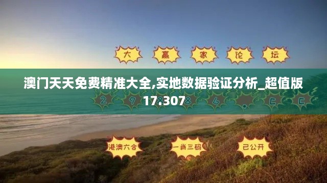 澳门天天免费精准大全,实地数据验证分析_超值版17.307