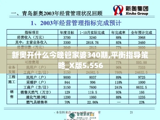 新奥开什么今晚管家婆340期,平衡指导策略_X版5.556