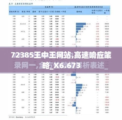 72385王中王网站,高速响应策略_X6.673