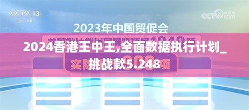 2024香港王中王,全面数据执行计划_挑战款5.248