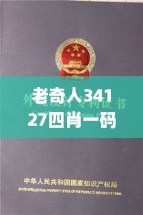 老奇人34127四肖一码,数据驱动实施方案_动态版9.956