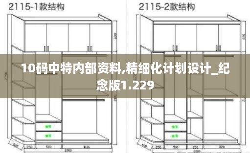 10码中特内部资料,精细化计划设计_纪念版1.229