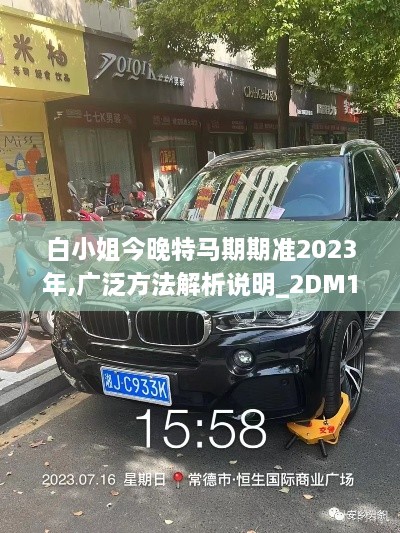 白小姐今晚特马期期准2023年,广泛方法解析说明_2DM10.933