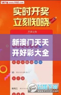 新澳门天天开好彩大全开奖记录,灵活实施计划_专业款14.528