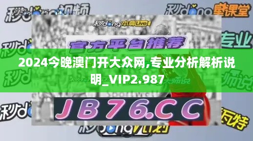 2024今晚澳门开大众网,专业分析解析说明_VIP2.987