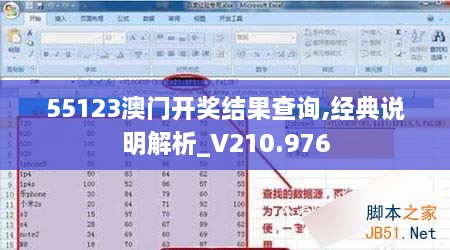 55123澳门开奖结果查询,经典说明解析_V210.976