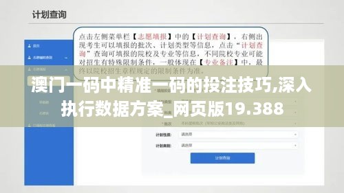 澳门一码中精准一码的投注技巧,深入执行数据方案_网页版19.388