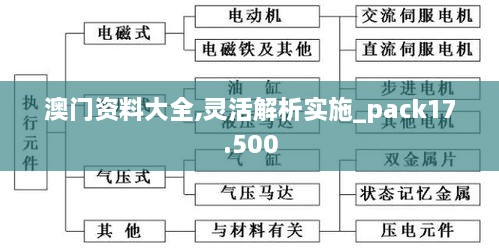 澳门资料大全,灵活解析实施_pack17.500