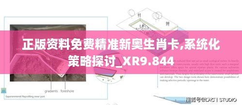 正版资料免费精准新奥生肖卡,系统化策略探讨_XR9.844